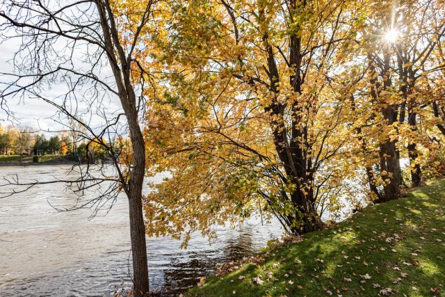 Laval-des-Rapides Apartment 2 b. $1,450/month. Apartment for rent in Laval-des-Rapides