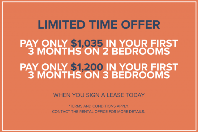 Notre-Dame-de-Grace Apartment Studio $950/month. Apartment for rent in Notre-Dame-de-Grace