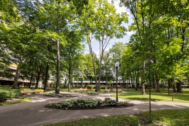 Quebec city Apartment Studio $1,015/month. Apartment for rent in Quebec city