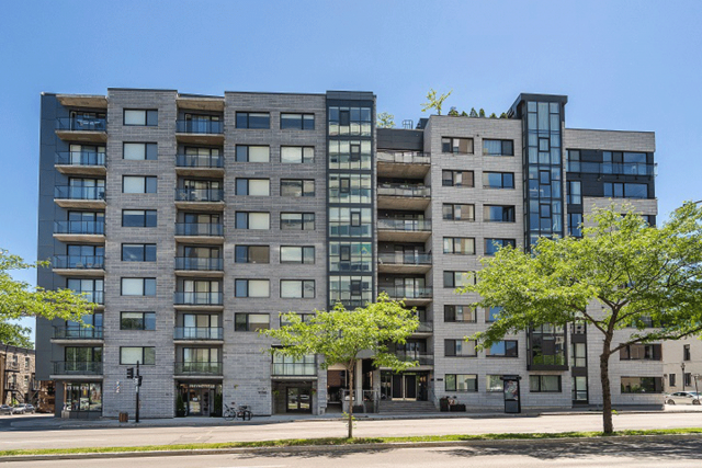 Quartier latin and south-central Apartment Studio $1,480/month. Apartment for rent in Quartier latin and south-central