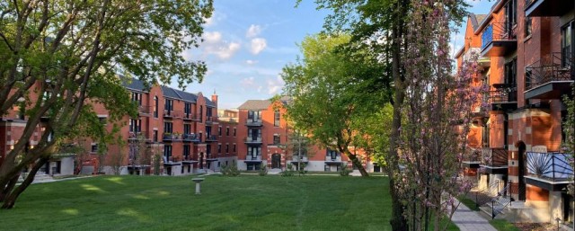 Cote-des-Neiges Apartment 1 b. $1,595/month. Apartment for rent in Cote-des-Neiges