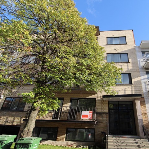 Cote-des-Neiges Apartment 1 b. $1,245/month. Apartment for rent in Cote-des-Neiges