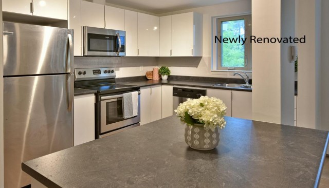 Fredericton Apartment 1 b. $1,395/month. Apartment for rent in Fredericton