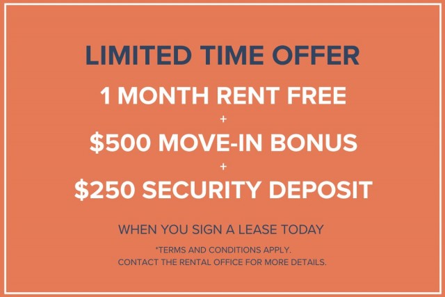 Calgary Apartment 1 b. $1,350/month. Apartment for rent in Calgary