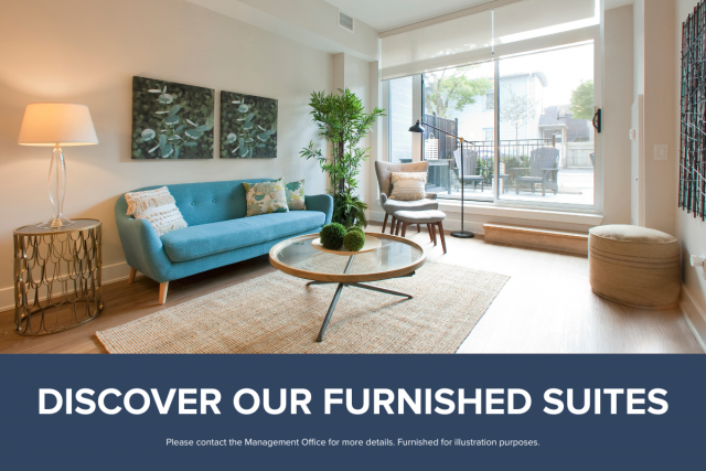 Mississauga Apartment 1 b. $1,850/month. Apartment for rent in Mississauga