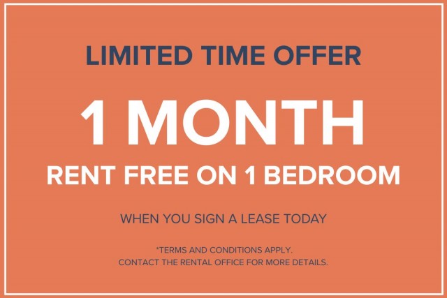 Ahuntsic and Cartierville Apartment 1 b. $1,145/month. Apartment for rent in Ahuntsic and Cartierville