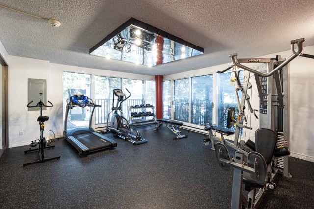 Notre-Dame-de-Grace Apartment 1 b. $1,335/month. Apartment for rent in Notre-Dame-de-Grace