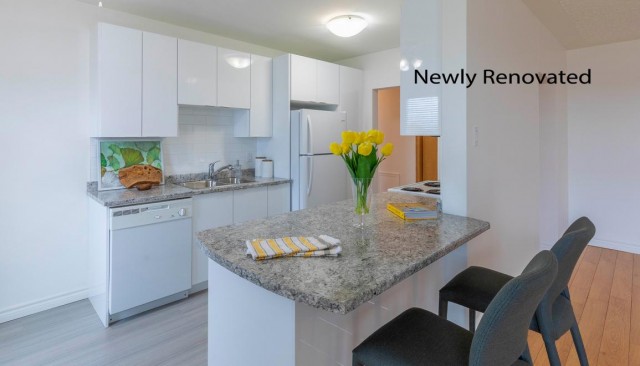 Moncton Apartment 2 b. $1,225/month. Apartment for rent in Moncton