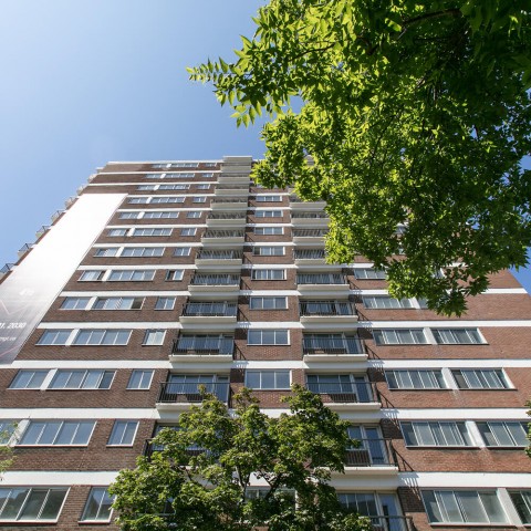 Plateau Mont-Royal Apartment 1 b. $1,535/month. Apartment for rent in Plateau Mont-Royal