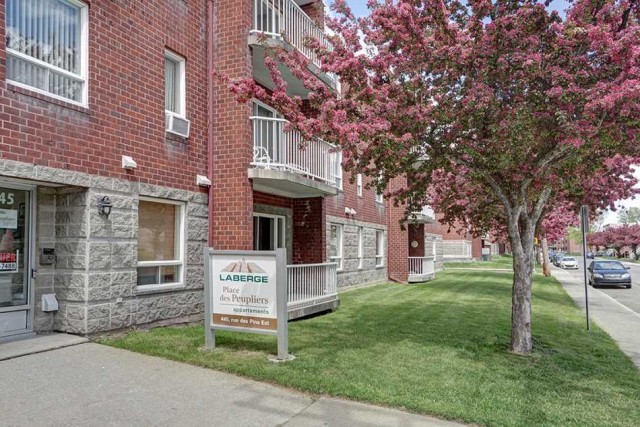 Plateau Mont-Royal Apartment 1-2 b. $1,140/month. Apartment for rent in Plateau Mont-Royal