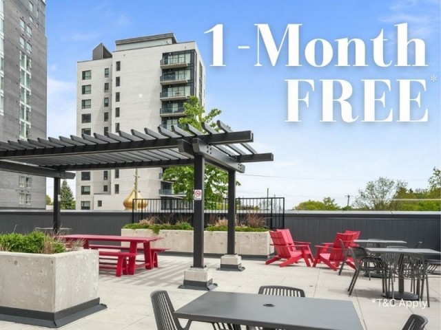Waterloo Apartment 2 b. $2,350/month. Apartment for rent in Waterloo