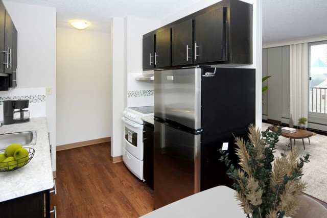 Calgary Apartment 1 b. $1,325/month. Apartment for rent in Calgary
