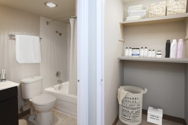 Calgary Apartment 1 b. $1,325/month. Apartment for rent in Calgary