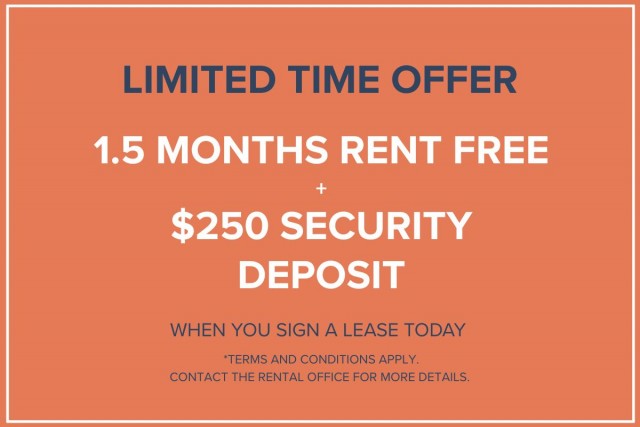 Calgary Apartment 2 b. $1,575/month. Apartment for rent in Calgary
