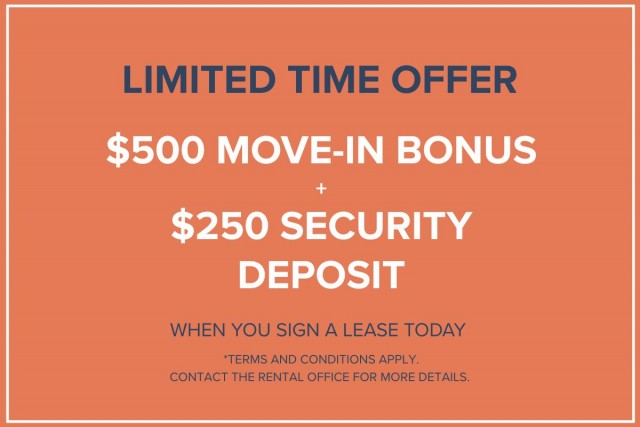Edmonton Apartment 1 b. $1,195/month. Apartment for rent in Edmonton