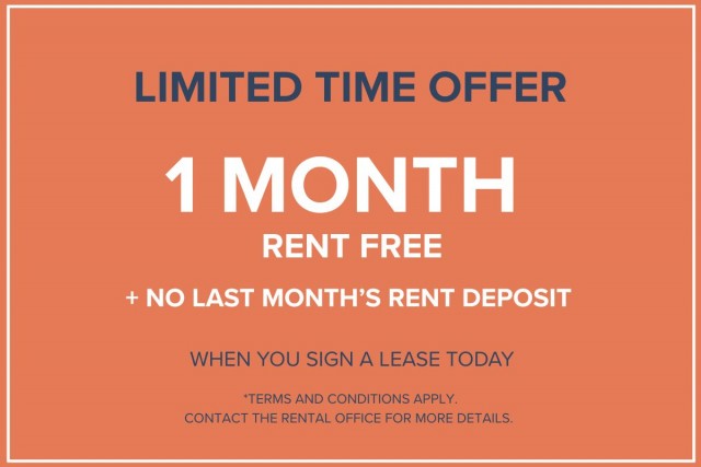 London Apartment 2 b. $1,550/month. Apartment for rent in London