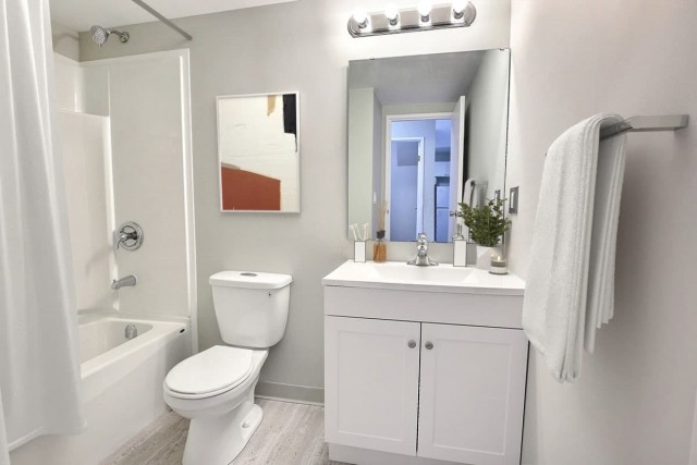 Regina Apartment 1 b. $1,235/month. Apartment for rent in Regina