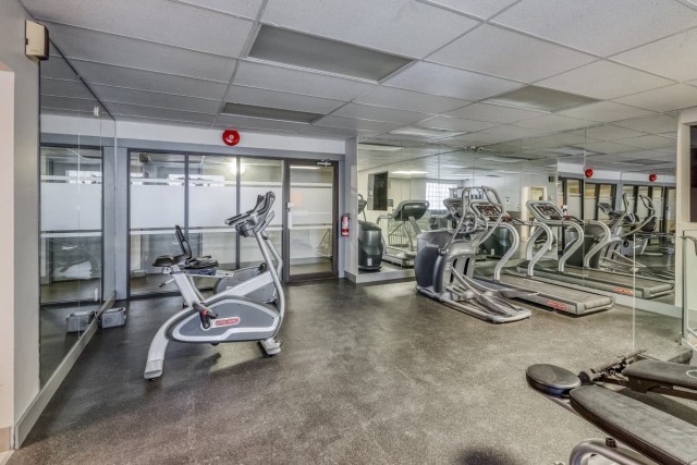 Calgary Apartment 2 b. $1,550/month. Apartment for rent in Calgary