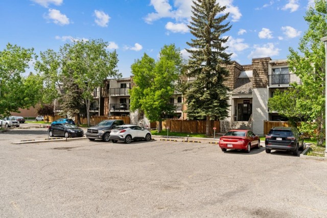 Calgary Apartment 1 b. $1,350/month. Apartment for rent in Calgary