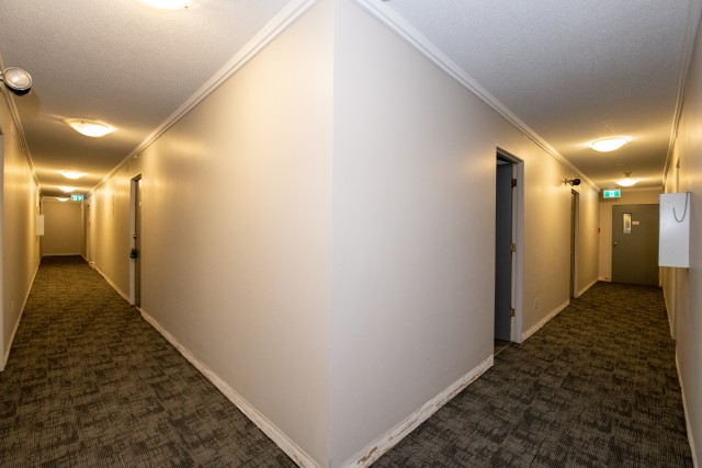 Victoria Apartment 1 b. $1,850/month. Apartment for rent in Victoria
