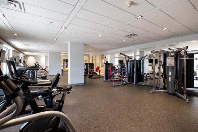 Halifax Apartment 1 b. $1,600/month. Apartment for rent in Halifax