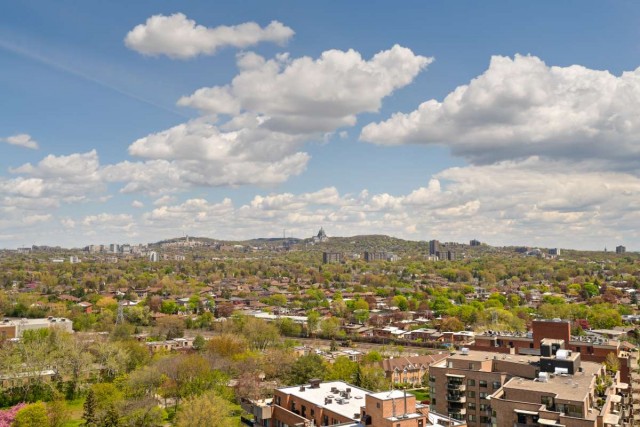 Cote-Saint-Luc Apartment 1 b. $1,395/month. Apartment for rent in Cote-Saint-Luc