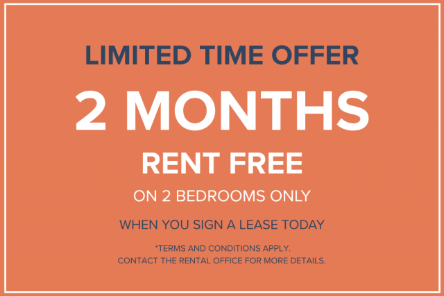 Hochelaga-Maisonneuve Apartment 2 b. $1,695/month. Apartment for rent in Hochelaga-Maisonneuve