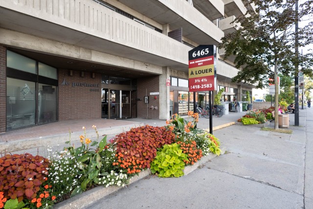 Mercier and Nouveau-Rosemont Apartment 2 b. $1,585/month. Apartment for rent in Mercier and Nouveau-Rosemont