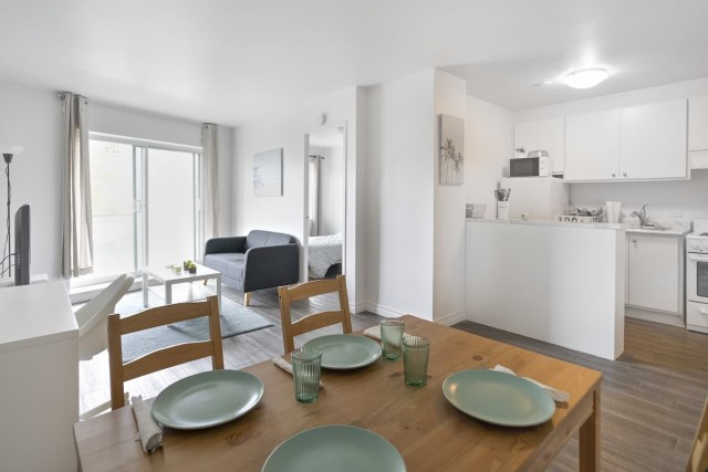 Plateau Mont-Royal Apartment 1 b. $1,495/month. Apartment for rent in Plateau Mont-Royal