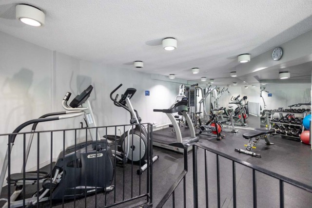 Quartier latin and south-central Apartment Studio $1,295/month. Apartment for rent in Quartier latin and south-central