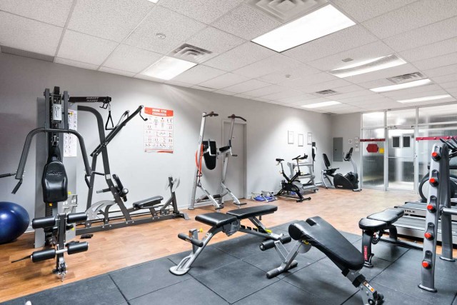 Plateau Mont-Royal Apartment 1 b. $1,295/month. Apartment for rent in Plateau Mont-Royal