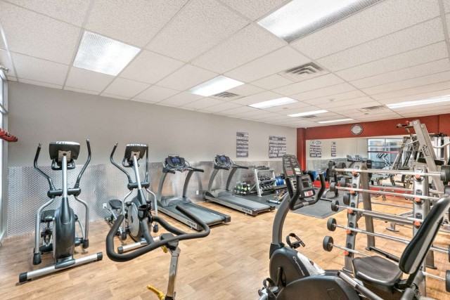 Plateau Mont-Royal Apartment 1 b. $1,295/month. Apartment for rent in Plateau Mont-Royal