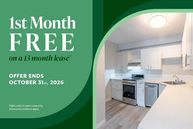 Calgary Apartment 1 b. $1,320/month. Apartment for rent in Calgary