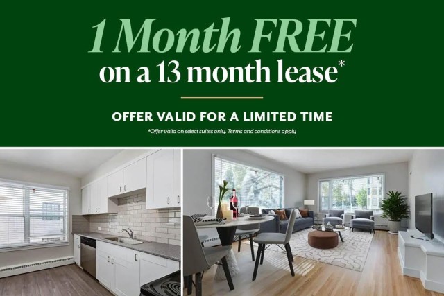 Calgary Apartment Studio $1,239/month. Apartment for rent in Calgary