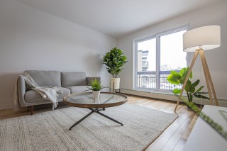 Property #221291