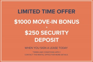 Property #180089