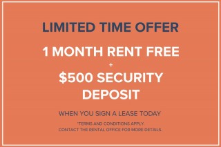 Property #194877