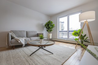 Property #221291
